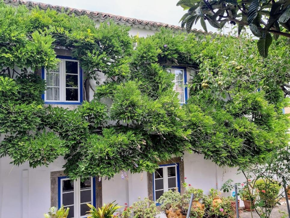 Vila Casa Do Sobral Obidos Bagian luar foto