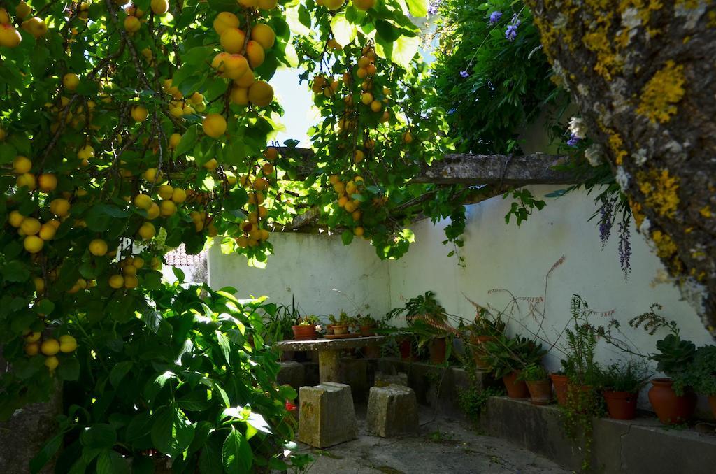 Vila Casa Do Sobral Obidos Ruang foto
